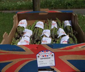 T H Brown suppliers of Seasonal Asparagus