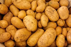 jersey potatoes from TH Brown