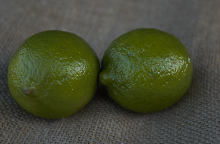 Limes T H Brown & Son